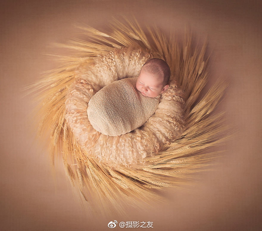 阳澄湖大闸蟹蒸多久最佳时间