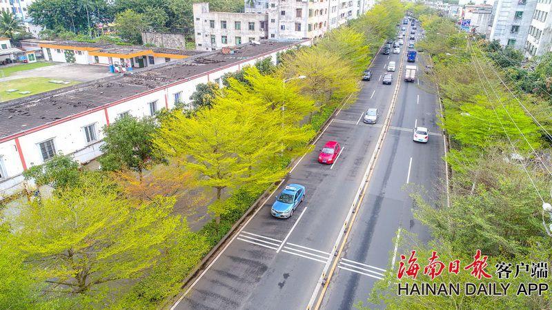 螃蟹流出来的黄东西是什么
